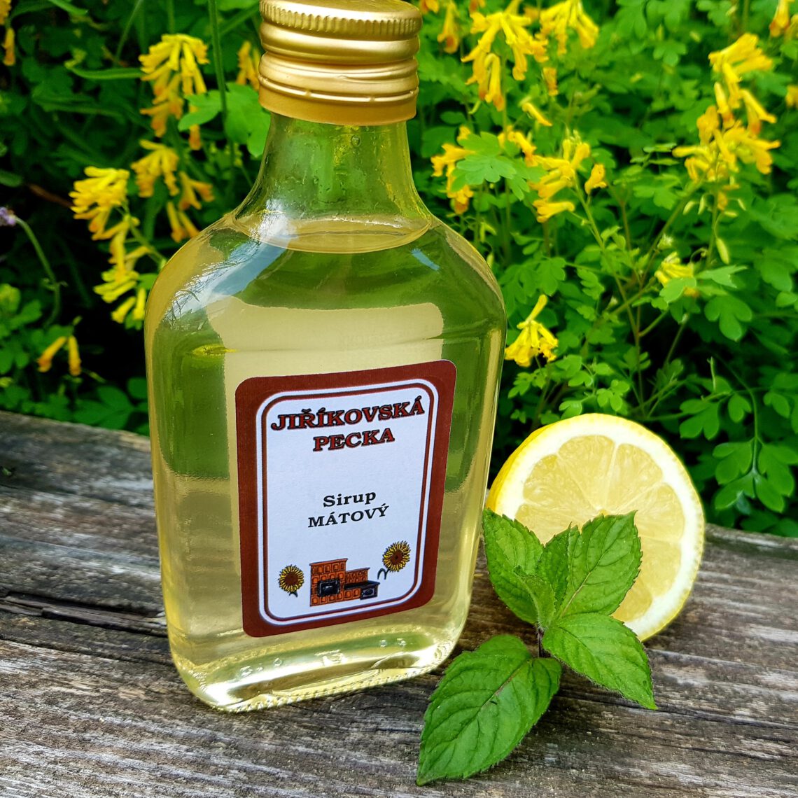 sirup mátový_1