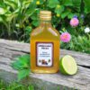 kopriva_limetka_1 Sirup kopřivový s limetkou