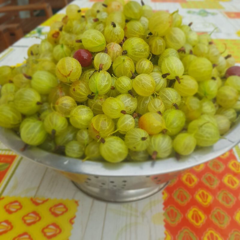 angrest_2