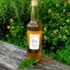 sirup_matovy_velky Sirup mátový velký